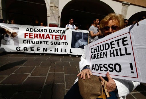 protesta contro greenhill