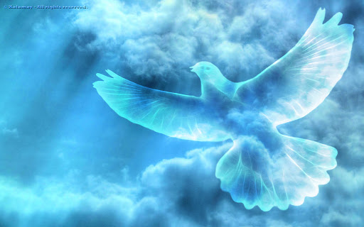 dove of peace &#8211; it