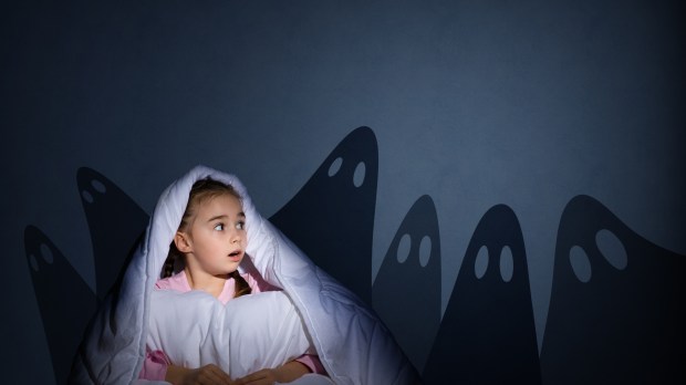 image of a girl under the covers with a flashlight the night afraid of ghosts © Khakimullin Aleksandr / shutterstock_216442720