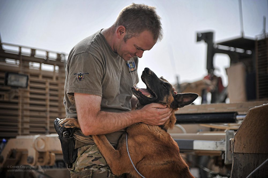 Military Working Dog and his Handler in Afghanistan