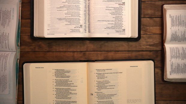 web-bible-bibles-table-shutterstock_350130722-pamela-d-maxwell-ai