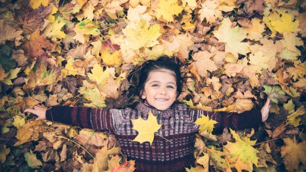 web-joy-child-autumn-leaves-philippe-put-cc