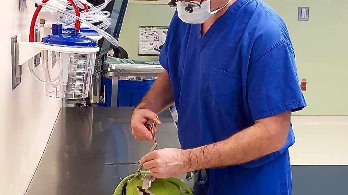 dr-travis-groth-facebook