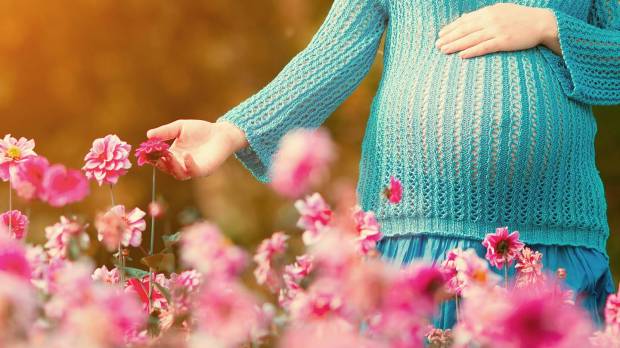 web-pregnant-woman-flower-light-shutterstock_490259356-radchenko-svitlana-ai