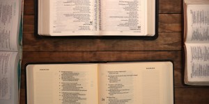 Qual è la differenza tra una Bibbia cattolica e una protestante?