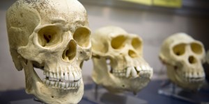 La vita sulla Terra  4 miliardi di anni fa? Nessuna smentita della Creazione!