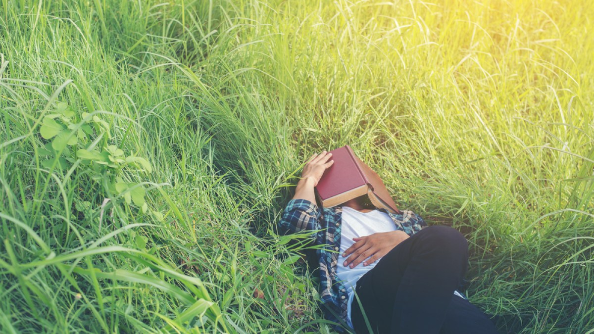 WEB PERSON NAP SLEEPING FIELD BOOK Crazystocker:Shutterstock