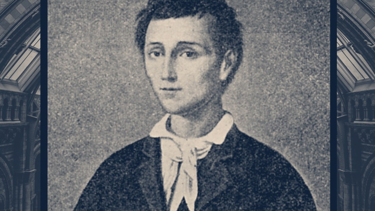 WEB-SAINT-MAY-05-NUNZIO-SULPRIZIO-Public-Domain