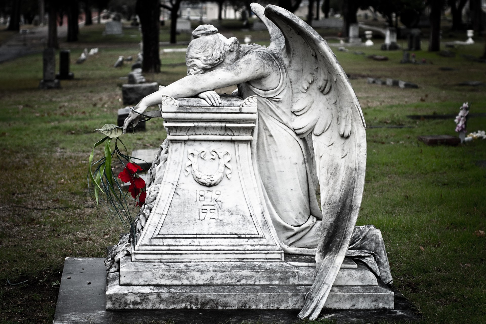 WEB-WEEPING-ANGEL-CEMETERY-TOMB-DEATH-ROSE-Squint-Photography-Shutterstock_286364576