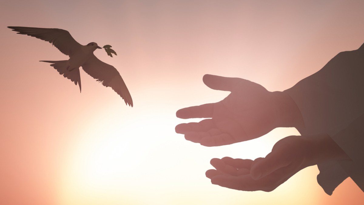 web3-hands-dove-god-sun-shutterstock.jpg