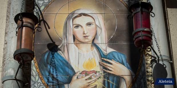 Il Cuore Immacolato di Maria ci porta a Gesù