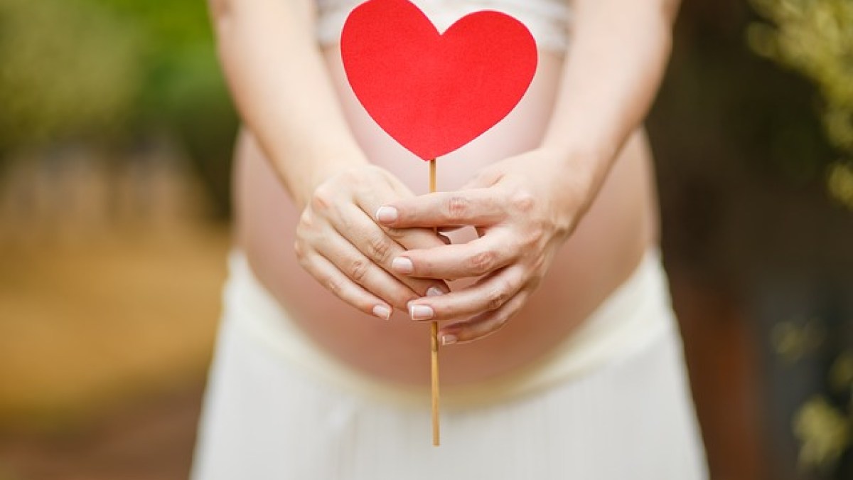 pregnant-woman-1910302_640