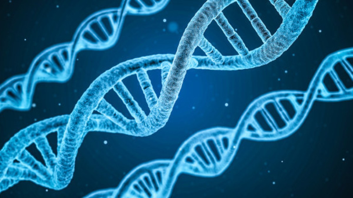 web3-human-dna-miracle-qimono-pixabaydna-1811955_1920