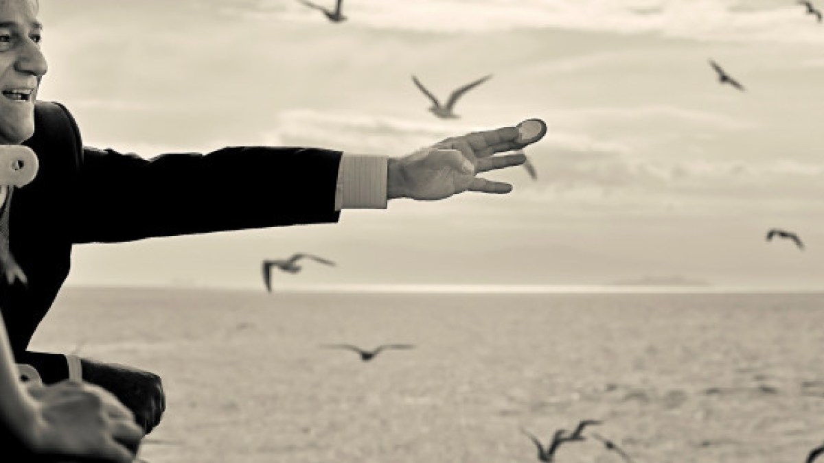 web-man-joy-sea-happiness-birds-ozan-hatipoglu-cc