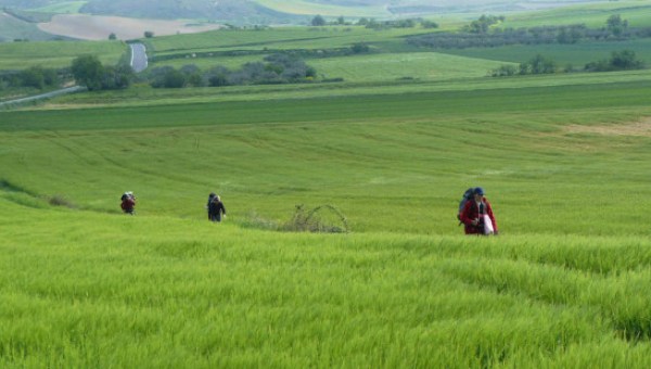 CAMMINO SANTIAGO PRATO
