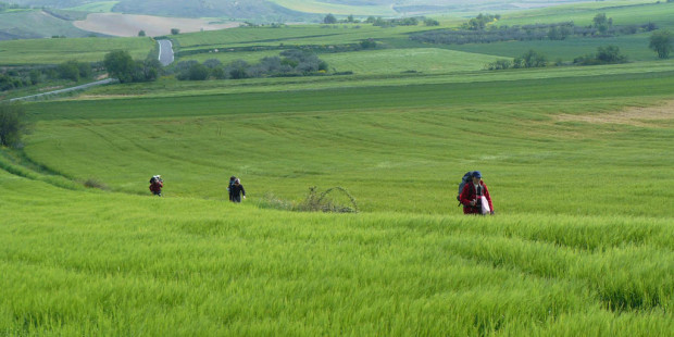 CAMMINO SANTIAGO PRATO