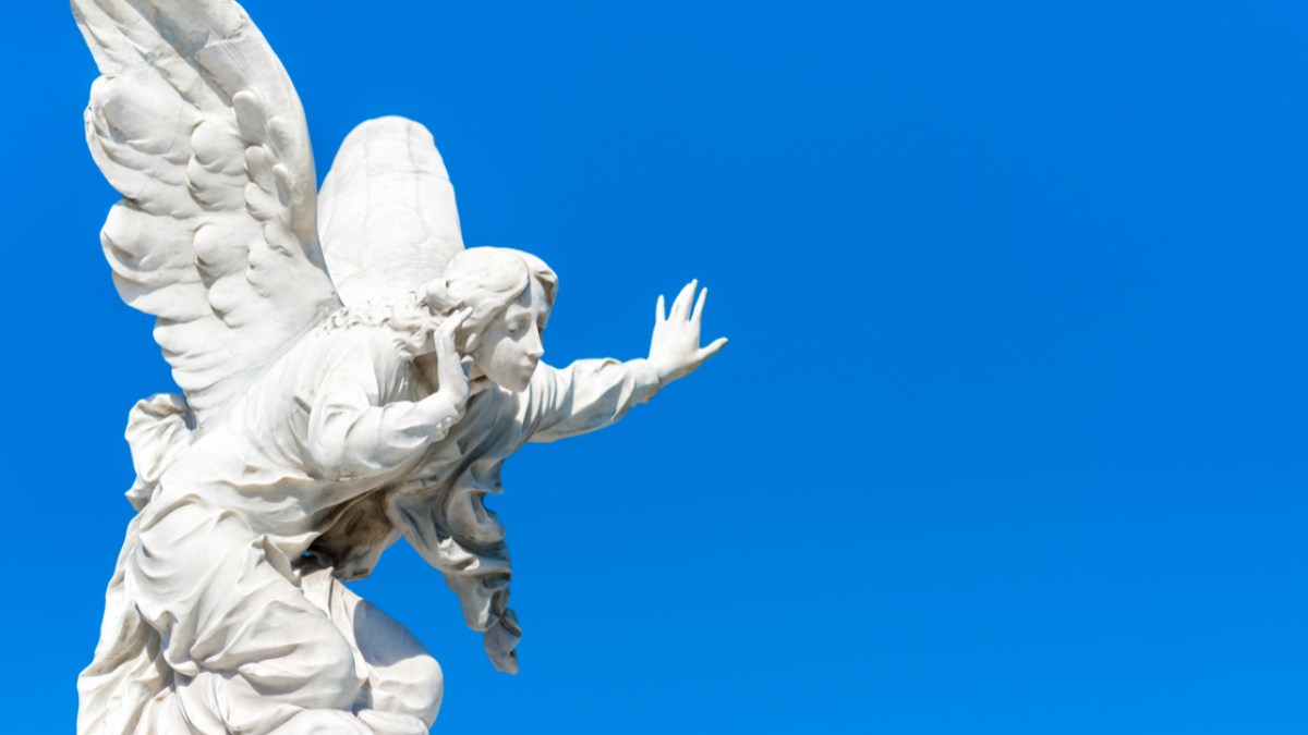 angel