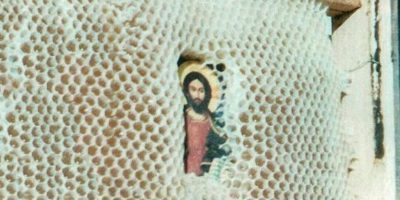 web jesus icon bee.jpeg