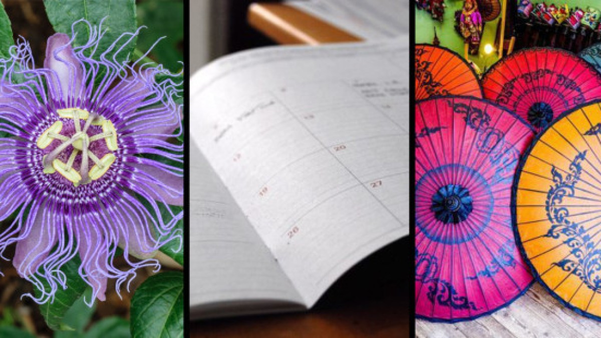 web3-jesuit-inventions-passion-flower-calendar-umbrellas-comp-cc