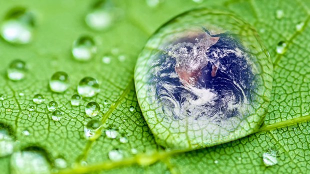 planet earth inside a raindrop closeup on a green leaf (Elements of this image furnished by NASA ) soft focus
