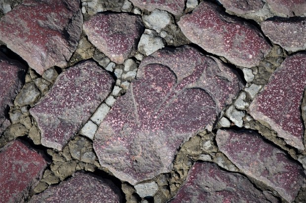 Corazón de Nerón
