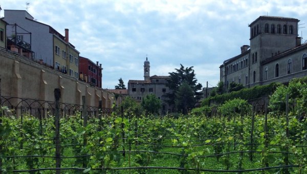 GIARDINO MISTICO VENEZIA