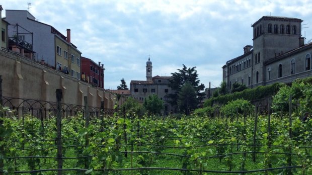 GIARDINO MISTICO VENEZIA