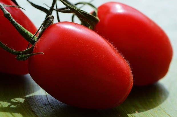 Tomatoes