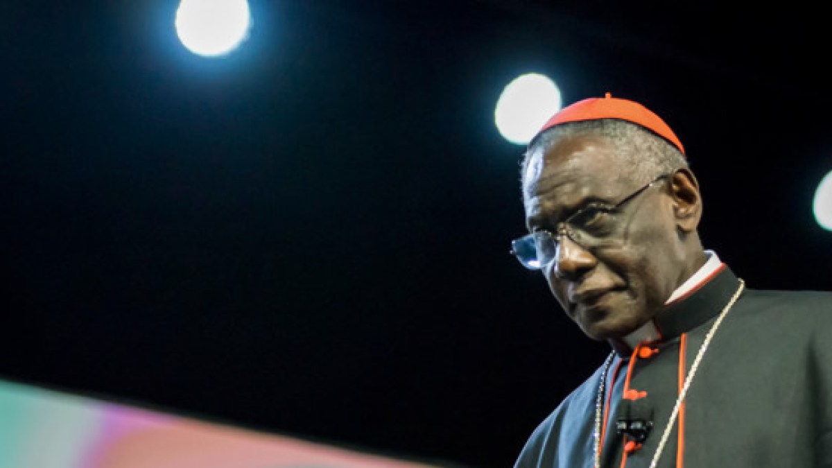 web-cardinal-robert-sarah-wmof-c2a9-antoine-mekary-aleteia-dsc3098
