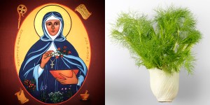 Santa Ildegarda, gli alimenti della salute e… i “biscotti della felicità”