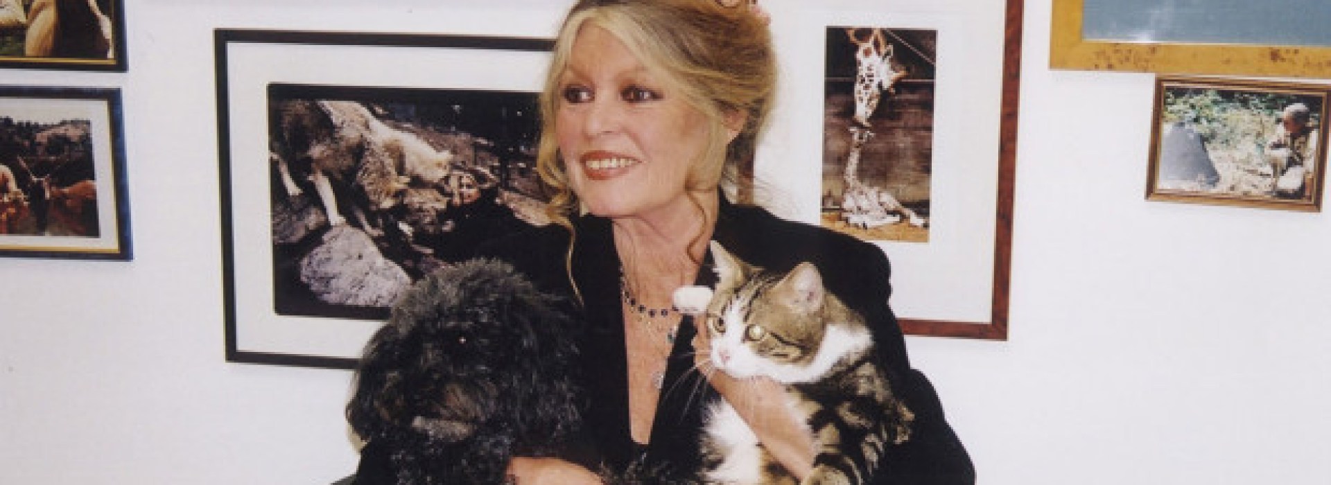 web3-brigitte-bardot-actriz-model-animals-fundaciocc81n-brigitte-bardot