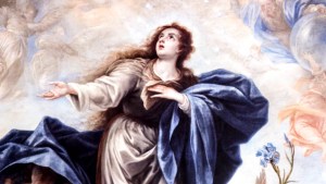 THE IMMACULATE CONCEPTION