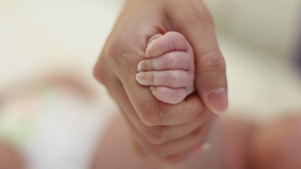 hands-2545754_1920