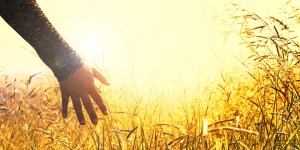 Il nostro destino non è la morte ma la vita eterna, che inizia ora