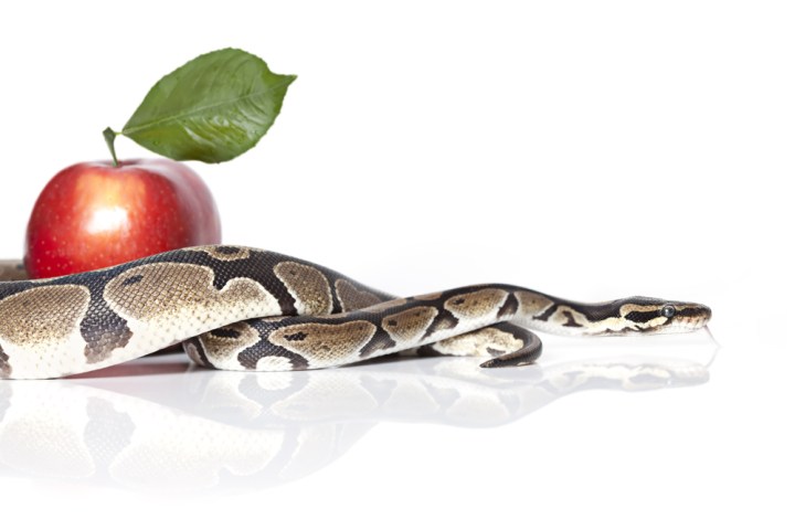 snake_apple
