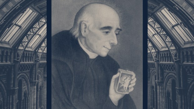 VINCENT-PALLOTT