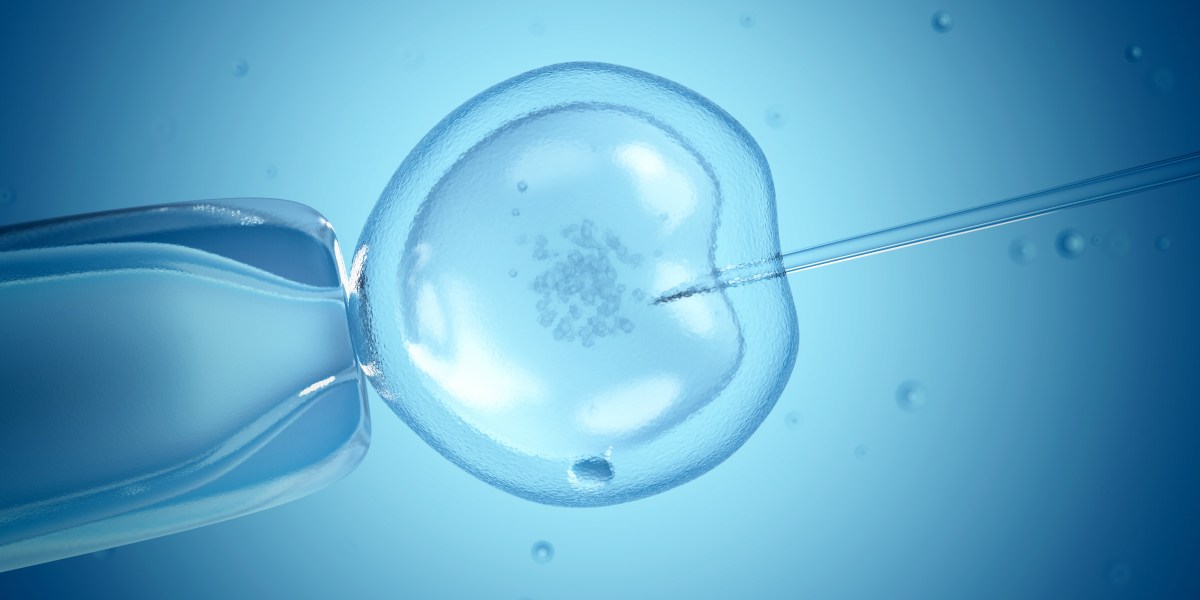 IN VITRO