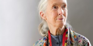 Jane Goodall: nella Bibbia si condanna il maltrattamento degli animali