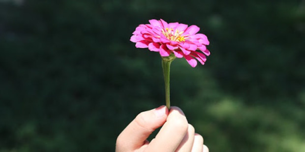 Potenti Citazioni Della Bibbia Che Aiutano A Livello Spirituale