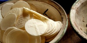 L&#8217;Ostia danneggiata o rovinata va utilizzata oppure no?