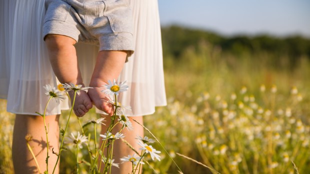 MOTHER, CHILD, DAISY