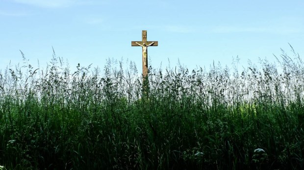 CROSS IN GRASS
