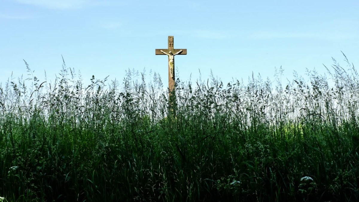 CROSS IN GRASS