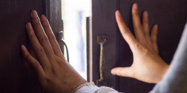DOOR HANDS