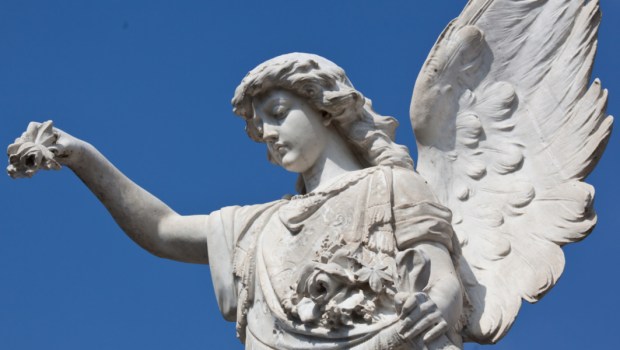 angel