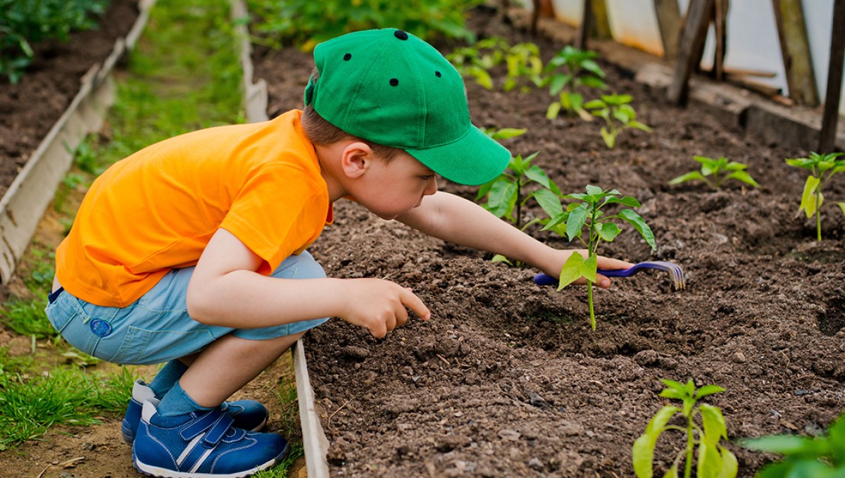 CHILD IN THE GARDEN