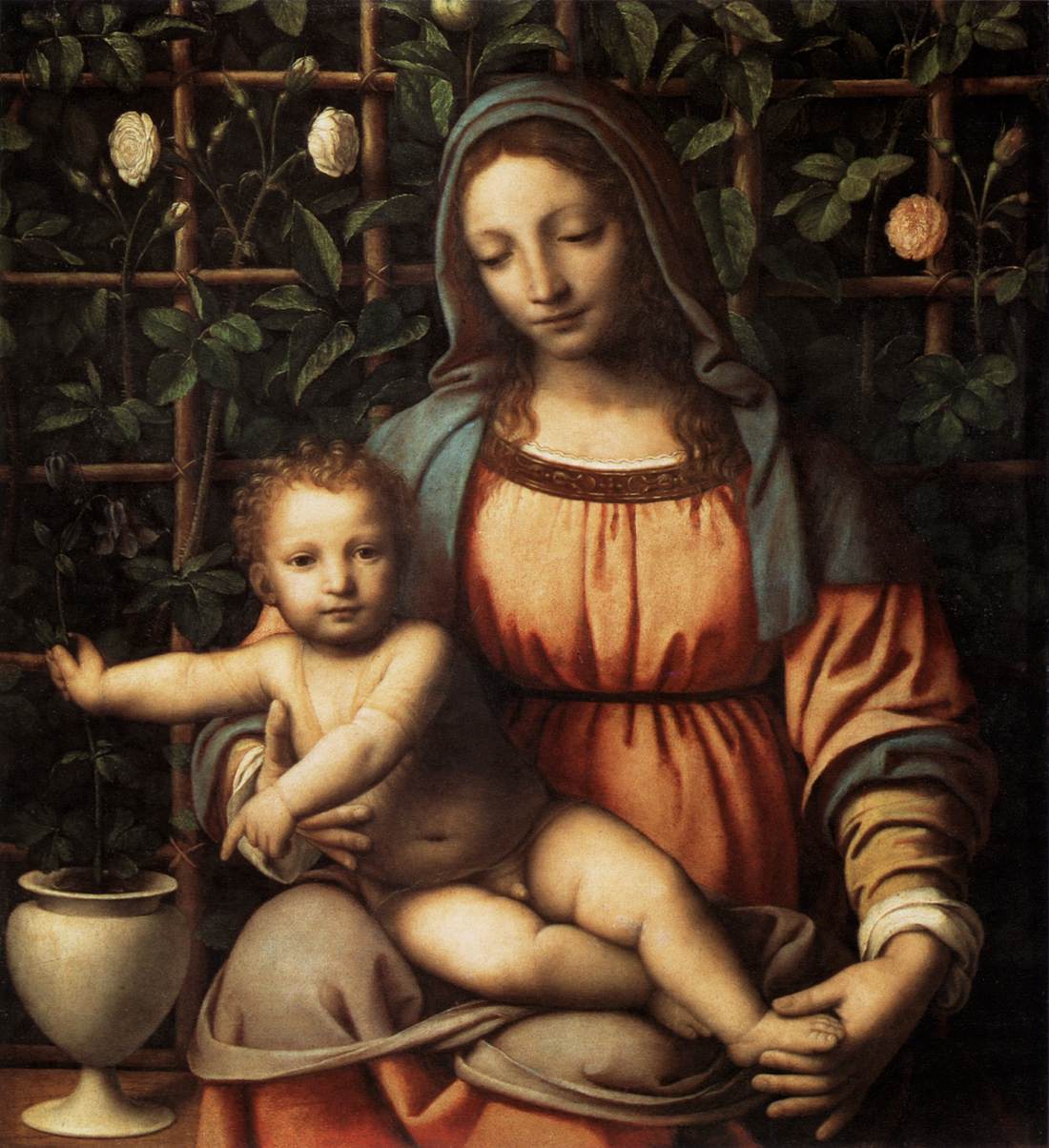 LUINI, MADONNA, ROSETO
