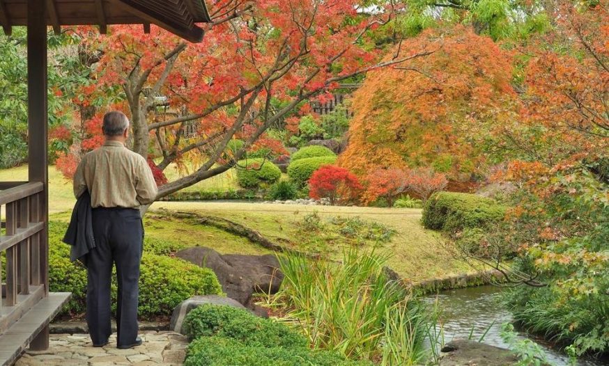 web-japanese-garden-lonely-old-man-sad-mrnovel-shutterstock_352558385-e1469567538832