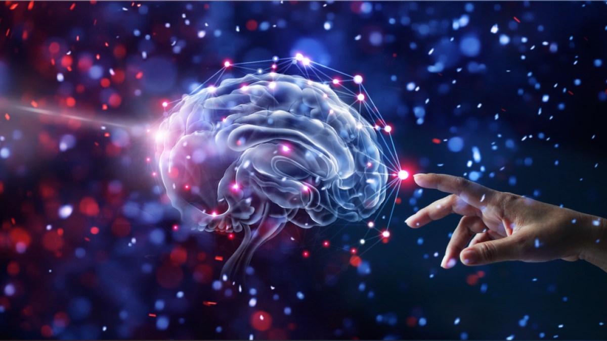I misteri del cervello