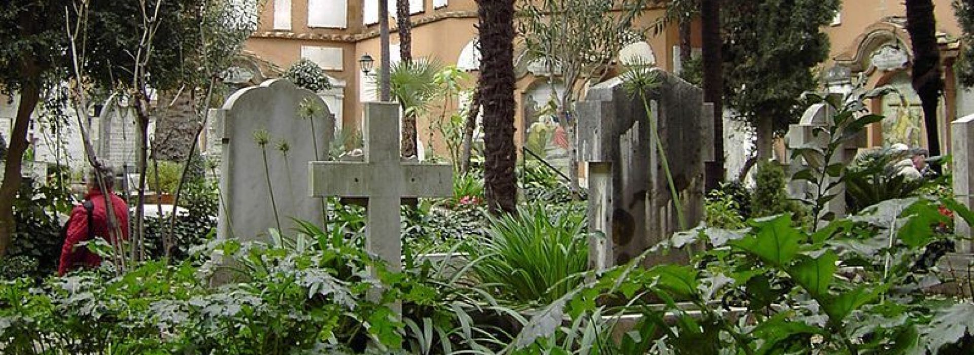 cimitero-teutonico-piante-e1575912708670.jpg